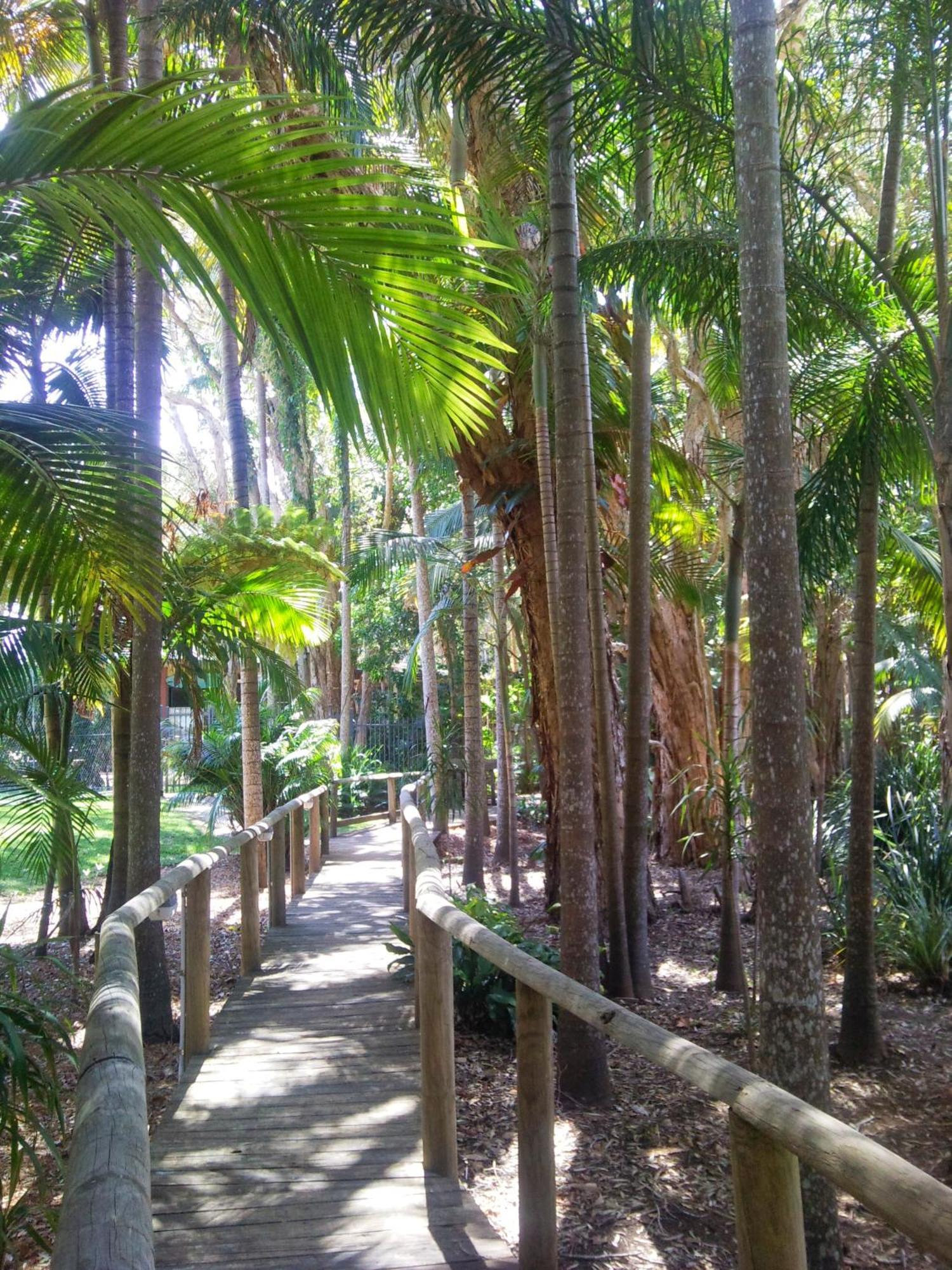 Beach Resort Apartment Port Macquarie Eksteriør billede